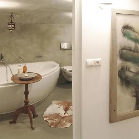 The Artist Accommodatie bij particulieren